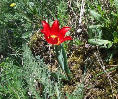 Прикрепленное изображение: 312.jpg